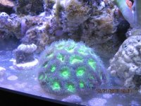 IMG_0001.jpg