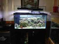 ImageUploadedByReefs1373160738.754262.jpg