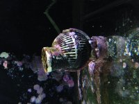 photo 4.jpg