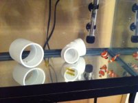 Fish2.jpg