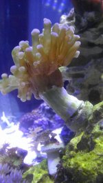 2013-10-11 19.12.24.jpg