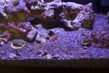 _MG_2379.jpg