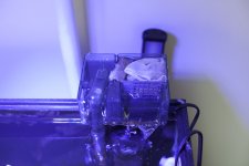 _MG_2386.jpg
