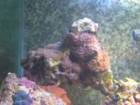 DSCN3091.jpg