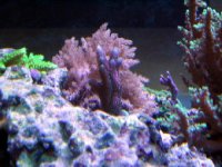 IMG_0093.JPG