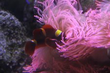 IMG_1749.JPG