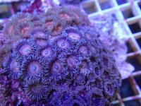 501 (18).JPG