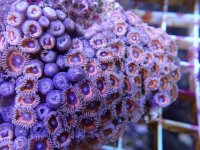 501 (21).JPG