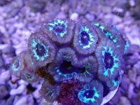 501 (88).JPG