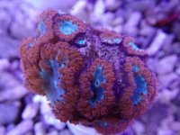 501 (91).JPG