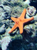 photo 1.JPG