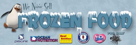 frozen_food.jpg