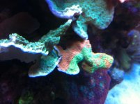 IMG_0473.jpg