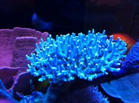 IMG_0011.jpg