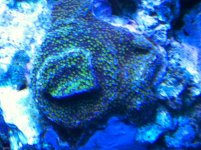 IMG_0869.jpg