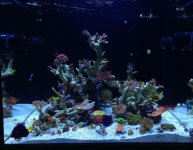 IMG_6842.jpg