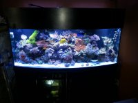20131027_173650.jpg