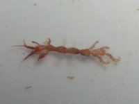 1406085956990.jpg