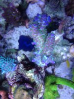 IMG_8066.jpg