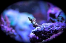 IMG_9798.jpg