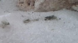 0616141712.jpg