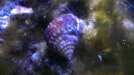 IMAG0959.jpg