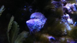 IMAG0961.jpg