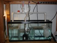 Sump2 003.jpg