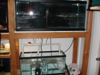 Sump2 004.jpg