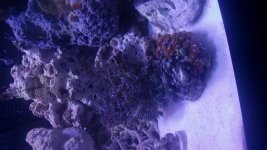 0804141804.jpg