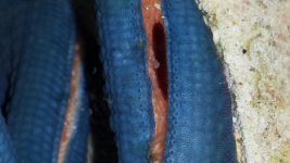 20150202_182743.jpg