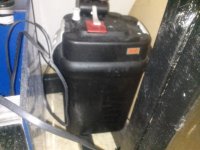 CAM00382.jpg