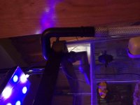 ImageUploadedByReefs2015-03-20 18:21:30 EDT.jpg
