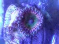 20140819_121111.jpg