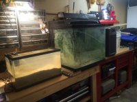 RS130 tank first pic.jpg