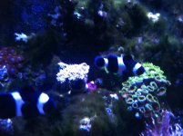 IMG_1067.jpg
