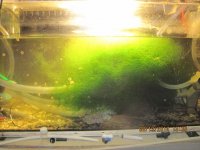 IMG_0613.jpg