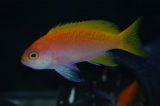 DSC_1071.jpg