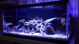 20141111_153146.jpg