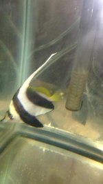 IMG_0665.jpg