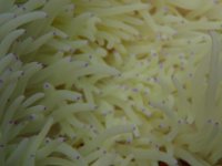 KPG003 ANEMONE.jpg