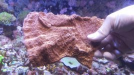 20140825_210743.jpg