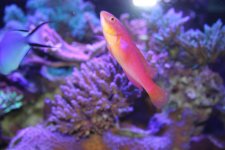 IMG_0292.jpg