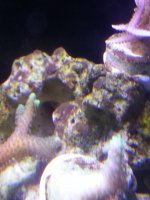 20140821_160428.jpg