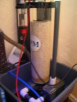DSCN3124.jpg