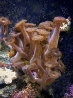 IMG_6917.jpg