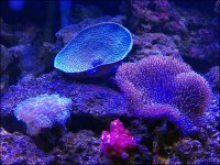 IMG_1127.JPG