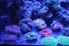 IMG_0397.jpg