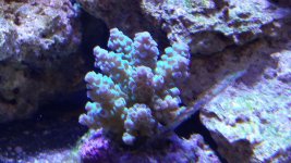 20150729_201211.jpg