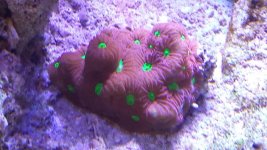 20150729_201321.jpg